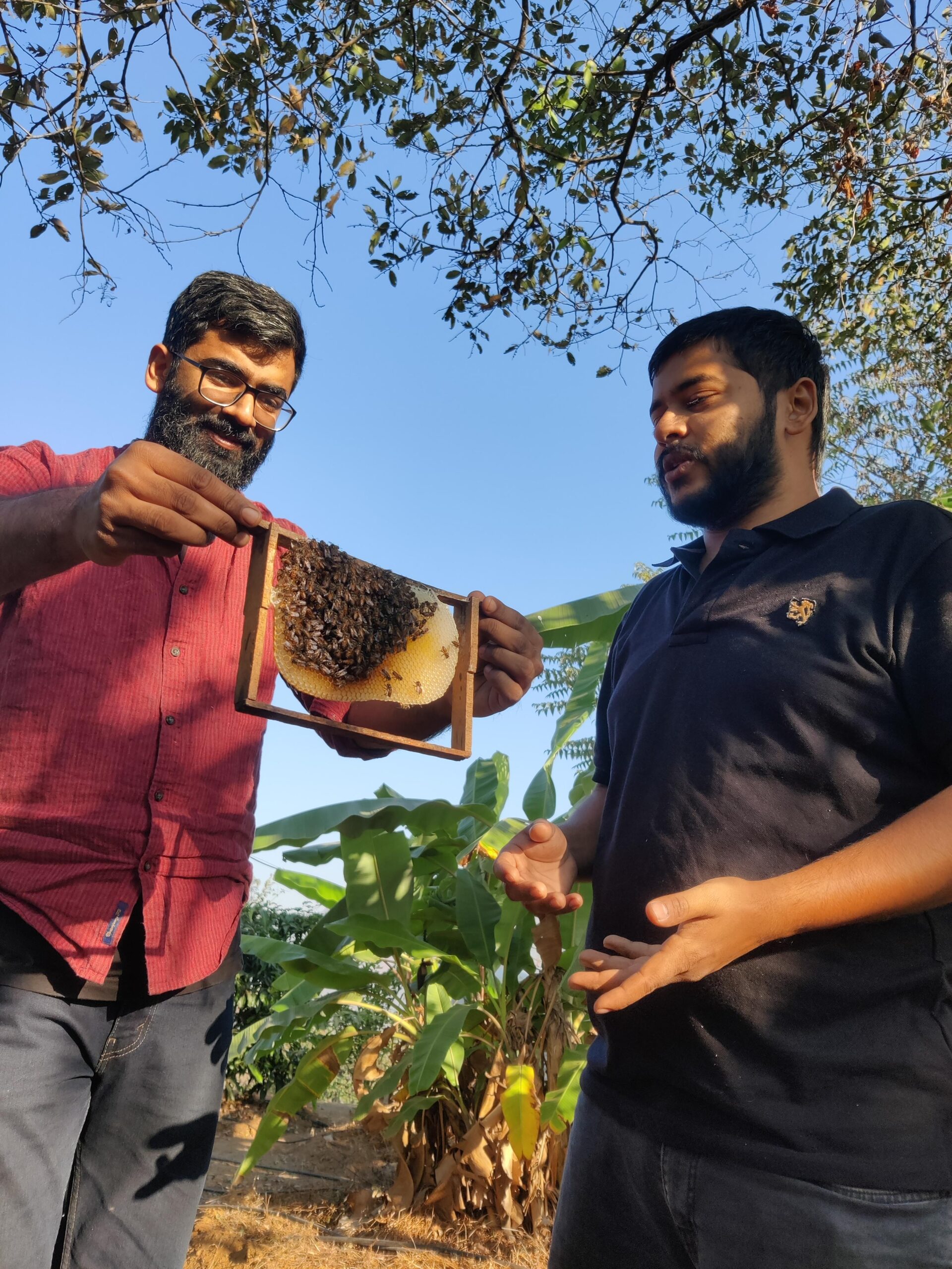 How Moonshine Is Empowering Farmers And Encouraging Us To Rethink What  Honey Is - Shopify India