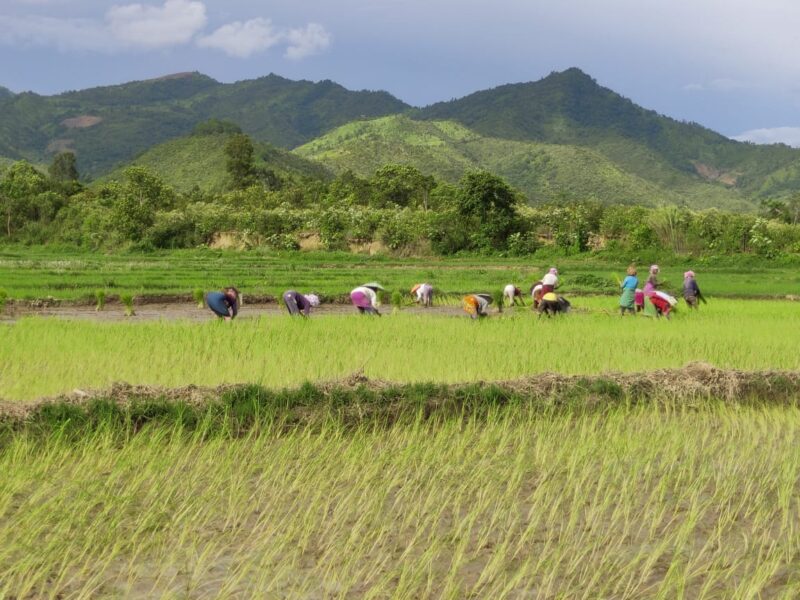 NE Origins: Placing Northeast on the Indian Food Map - The Locavore