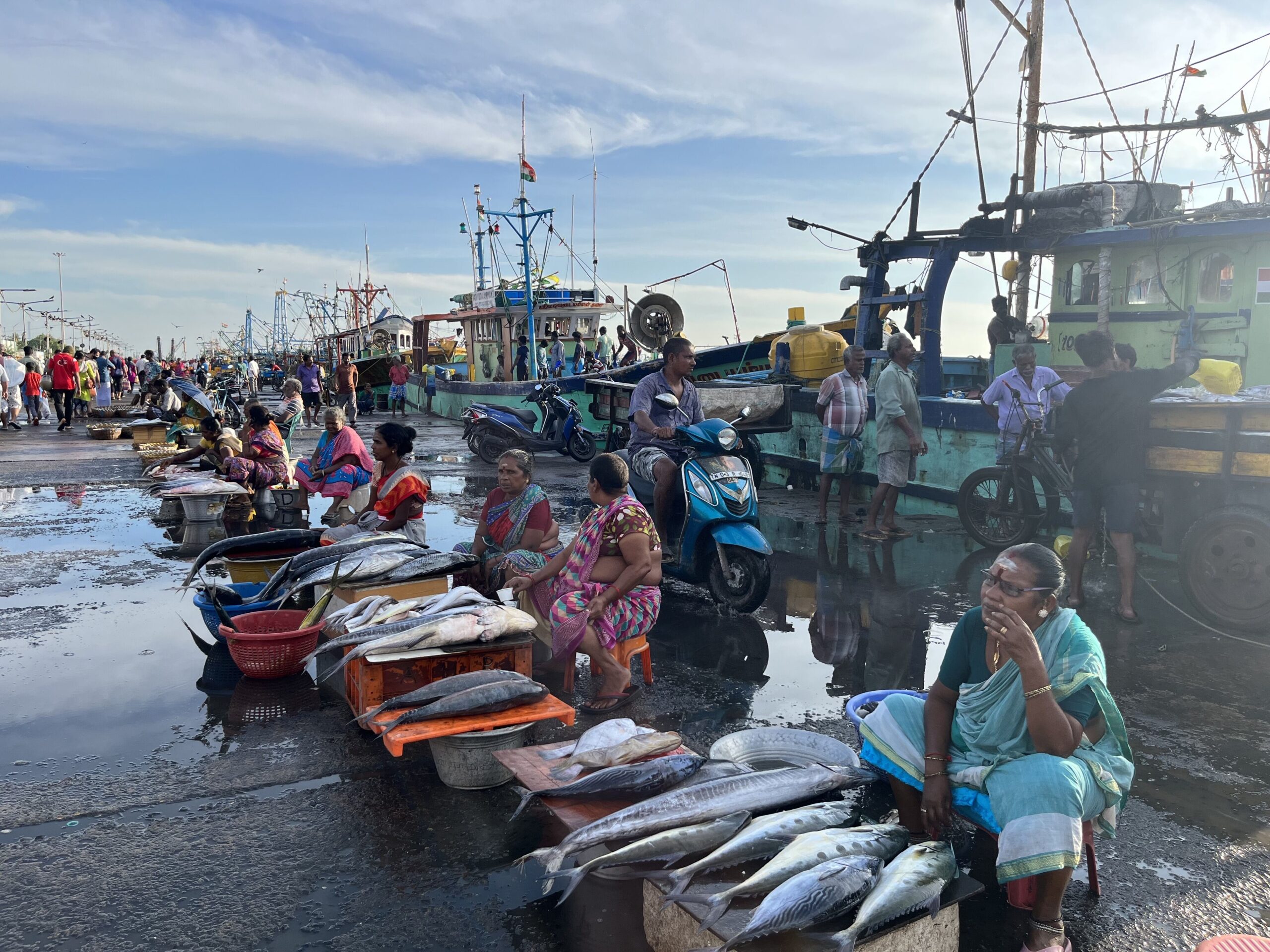 Fishing Line in Chennai, Tamil Nadu  Get Latest Price from Suppliers of Fishing  Line in Chennai